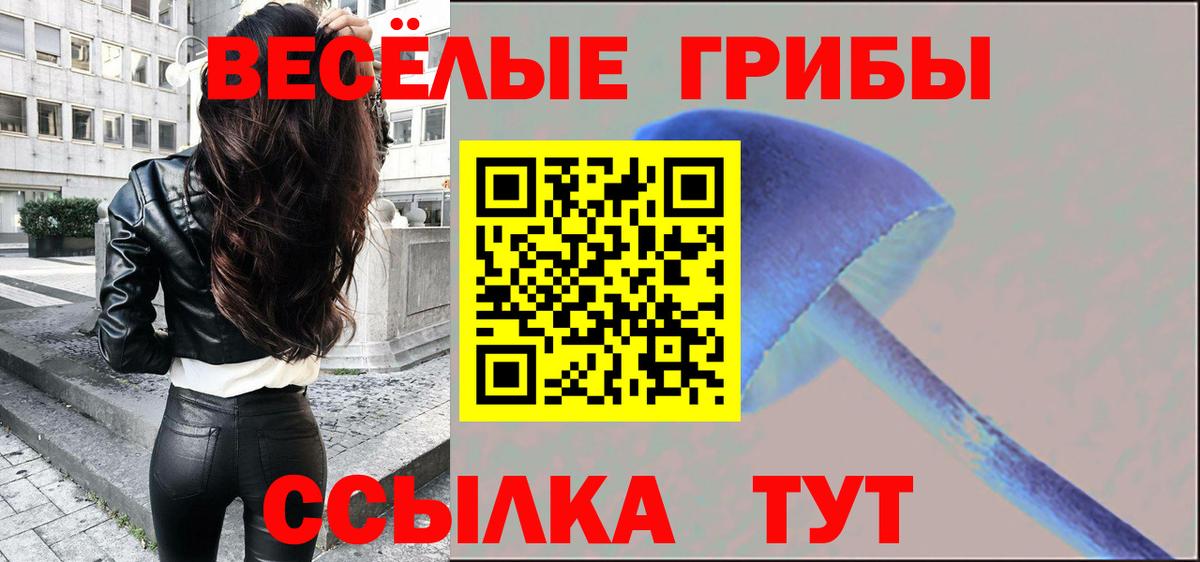 где можно купить наркотик  Вход с VPN  Гай  Псилоцибиновые грибы мицелий 